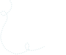 Insect flying