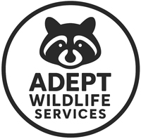 Adept Wildlife Services Logo